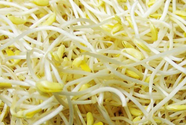 让您尝遍全球美味，配送食...