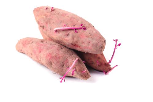 蔬菜配送中心- 新鲜蔬菜...