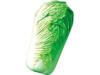 蔬菜配送中心-新鲜蔬菜送...