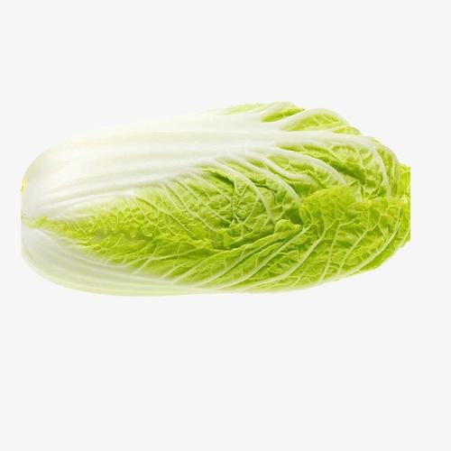 「蔬菜新鲜送上门」公司蔬...