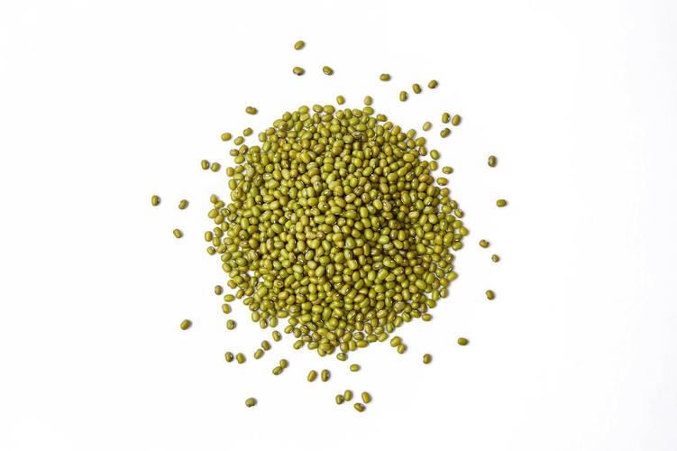 每周新鲜蔬菜直送 – 您...